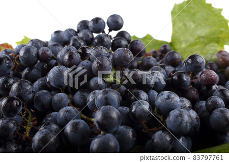 Wine grape on autumn leaves background 83797761