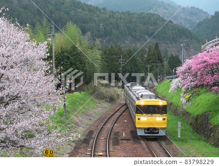 Dr. Tokai going between Hida-Kanayama and Shimo-Yui on the Takayama Main Line Dr. Tokai going between Hida-Kanayama and Shimo-Yui on the Takayama Main Line 83798229