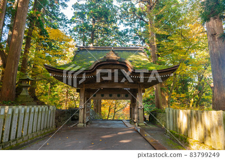 大神山神社奧宮的秋葉 大神山神社奧宮的秋葉 83799249