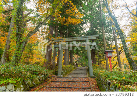 Autumn leaves at Ogamiyama Shrine Okumiya 83799318
