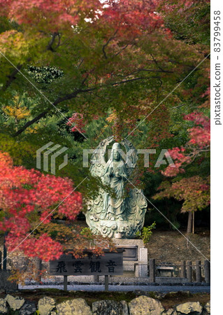 Autumn leaves of Arashiyama Autumn leaves of Arashiyama 83799458