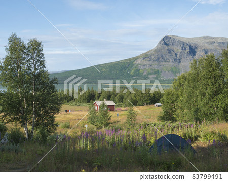 Camping site of Aktse Fjallstuga STF mountain cabin with small tent, hut, pink willowherb fowers, Laitaure lake, green hills and spruce birch trees forest. Kungsleden hiking trail, Sweden Lapland 83799491