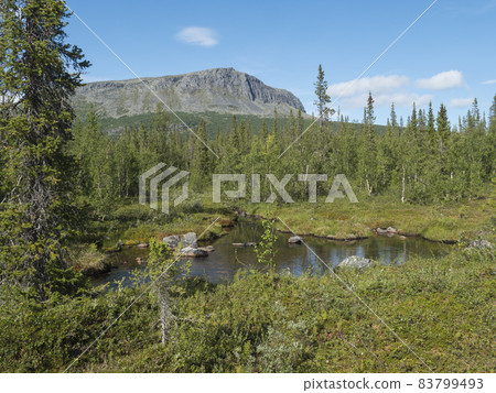 Landscape of Sarek national park in Sweden Lapland with water stream, mountain peaks, birch and spruce tree forest. At Kungsleden hiking trail , blue sky white clouds. Landscape of Sarek national park in Sweden Lapland with water stream, mountain peaks, birch and spruce tree forest. At Kungsleden hiking trail , blue sky white clouds. 83799493