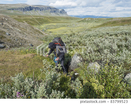 Man hiker with backpacks fills up plastic bottle, taking of water from a small mountain stream in beautiful northern landscape in Swedish Laplan. Enjoying the outdoors in the summer trekking vacation 83799523