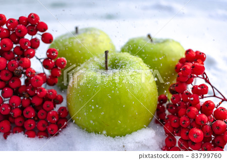 Green apples and red mountain ash lie on the snow 83799760
