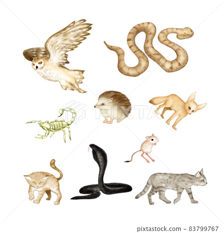 一組沙漠夜行動物 83799767