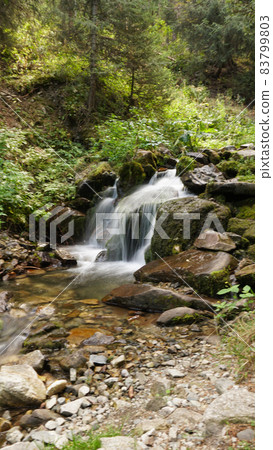 A small waterfall in a mountain forest. 83799803