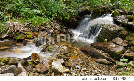 A small waterfall in a mountain forest. 83799805