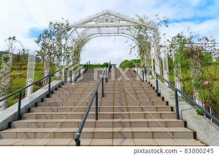 [Hiroshima Prefecture] Stairs leading to the Rose Garden Hiroshima Botanical Garden 83800245