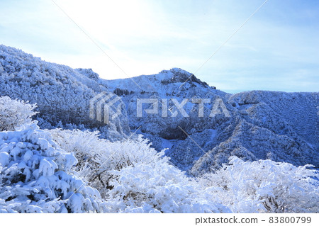 漢拏山、雪景、雪景、觀音寺路線、登山、冬季、暴風雪、雪花、上谷台、 漢拏山、雪景、雪景、觀音寺路線、登山、冬季、暴風雪、雪花、上谷台、 83800799