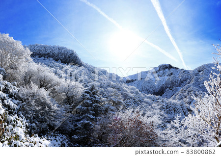 Hallasan, Snow, Snow Scenery, Gwaneumsa Course, Mountaineering, Winter, Blizzard, Snow Flower, Sanggodae, 83800862
