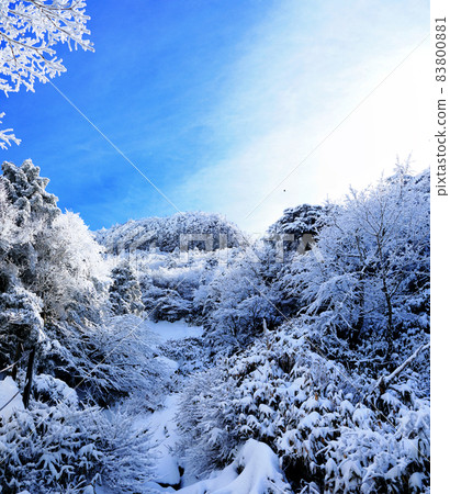 Hallasan, Snow, Snow Scenery, Gwaneumsa Course, Mountaineering, Winter, Blizzard, Snow Flower, Sanggodae, Hallasan, Snow, Snow Scenery, Gwaneumsa Course, Mountaineering, Winter, Blizzard, Snow Flower, Sanggodae, 83800881