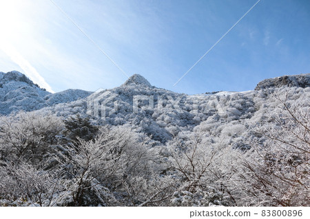 Hallasan, Snow, Snow Scenery, Gwaneumsa Course, Mountaineering, Winter, Blizzard, Snow Flower, Sanggodae, Hallasan, Snow, Snow Scenery, Gwaneumsa Course, Mountaineering, Winter, Blizzard, Snow Flower, Sanggodae, 83800896