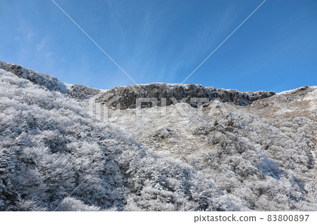 漢拏山、雪景、雪景、觀音寺路線、登山、冬季、暴風雪、雪花、上谷台、 83800897