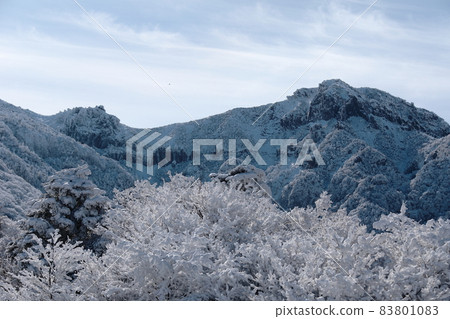 漢拏山,雪花,上谷台,雪道,冬天,森林,山,霧,森林,山,觀音寺路線, 漢拏山,雪花,上谷台,雪道,冬天,森林,山,霧,森林,山,觀音寺路線, 83801083