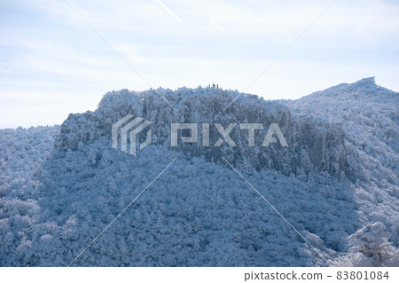 Halla Mountain, Snow Flower, Sanggodae, Snow Road, Winter, Forest, Mountain, Fog, Forest, Mountain, Gwaneumsa Course, Halla Mountain, Snow Flower, Sanggodae, Snow Road, Winter, Forest, Mountain, Fog, Forest, Mountain, Gwaneumsa Course, 83801084