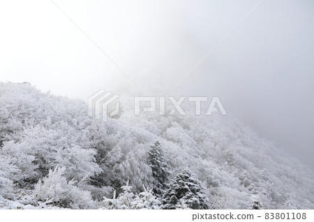 Halla Mountain, Snow Flower, Sanggodae, Snow Road, Winter, Forest, Mountain, Fog, Forest, Mountain, Gwaneumsa Course, Halla Mountain, Snow Flower, Sanggodae, Snow Road, Winter, Forest, Mountain, Fog, Forest, Mountain, Gwaneumsa Course, 83801108