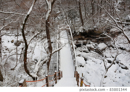 Hallasan, winter, Sanggodae, snow road, in the snow, in the mountains, in the forest, in the snow, in the Gwaneumsa course, 83801344
