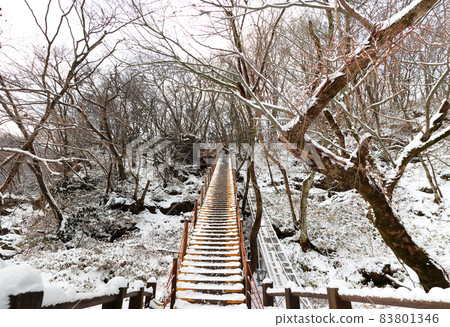 漢拏山,冬天,桑戈台,雪道,在雪中,在山中,在森林中,在雪中,在觀音寺路線中, 漢拏山,冬天,桑戈台,雪道,在雪中,在山中,在森林中,在雪中,在觀音寺路線中, 83801346
