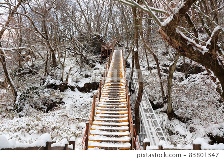 漢拏山，冬天，桑戈台，雪道，在雪中，在山中，在森林中，在雪中，在觀音寺路線中， 83801347