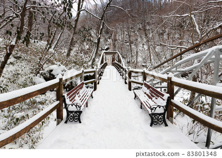 漢拏山,冬天,桑戈台,雪道,在雪中,在山中,在森林中,在雪中,在觀音寺路線中, 漢拏山,冬天,桑戈台,雪道,在雪中,在山中,在森林中,在雪中,在觀音寺路線中, 83801348