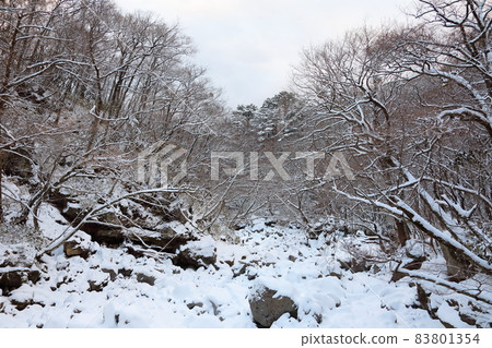 Hallasan, winter, Sanggodae, snow road, in the snow, in the mountains, in the forest, in the snow, in the Gwaneumsa course, Hallasan, winter, Sanggodae, snow road, in the snow, in the mountains, in the forest, in the snow, in the Gwaneumsa course, 83801354