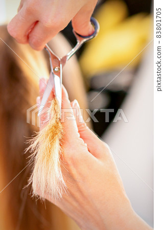 The hairdresser cuts the ends of female hair with scissors. Concept of beauty salon services. Cuts hair tips. The hairdresser cuts the ends of female hair with scissors. Concept of beauty salon services. Cuts hair tips. 83801705