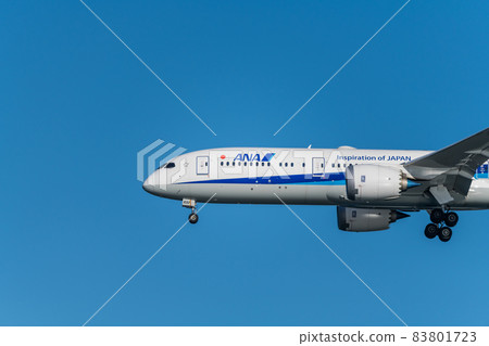 [ANA aircraft landing on Runway A from Ukishimacho Park] 83801723