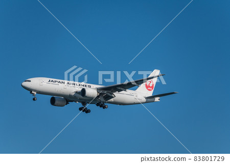 [日航飛機從浮島町公園降落在A跑道上] 83801729