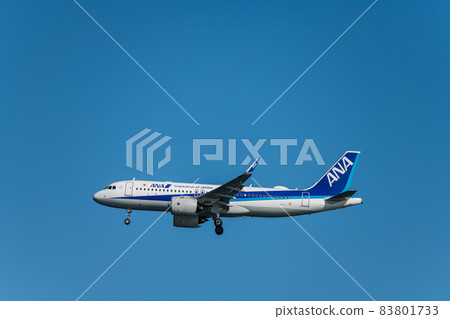 [全日空飛機從浮島町公園降落在A跑道上] 83801733
