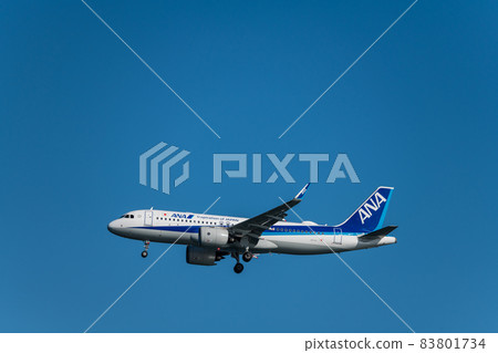 [全日空飛機從浮島町公園降落在A跑道上] 83801734