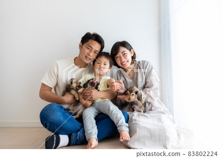 家庭照片寵物狗 Kaninhen Dachshund 83802224