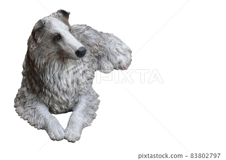 white dog sleeping and looking on white background,copy space white dog sleeping and looking on white background,copy space 83802797