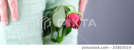 Withered rose flower sandwiched between man legs closeup 83803019