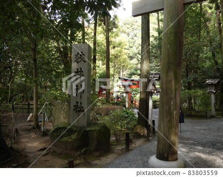 綠樹環繞的神社鳥居景色【堺神社】 83803559