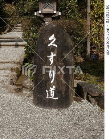 種有藥用神社藥用樹木的道路入口【大江神社】 83803560