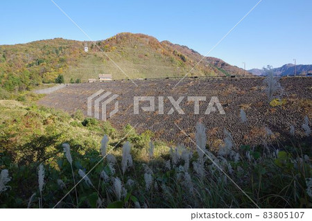 Rock wall of Yagigahana in late autumn, Shimoda, Sanjo City 83805107