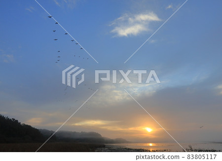 泉沼的早晨航班 泉沼的早晨航班 83805117