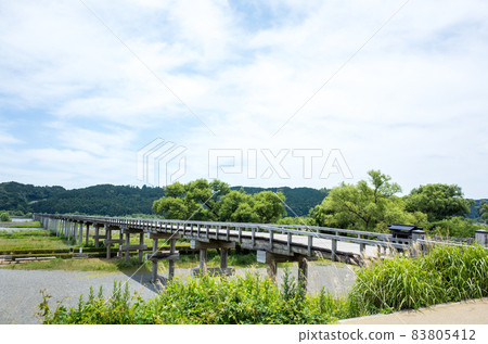 [Horai Bridge] 雨季的Horai Bridge 83805412