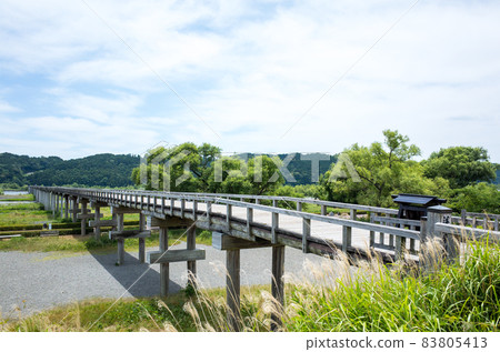 [Horai Bridge] 雨季的Horai Bridge 83805413