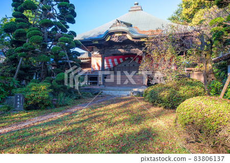 Menuma Seitenzan Kangiin Honbo Main Hall Autumn Season Menuma Seitenzan Kangiin Honbo Main Hall Autumn Season 83806137