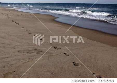 鳥取四季漫步秋日沙丘 83806205