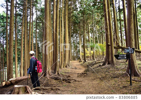 Isehara City Hinata Oyama mountain climbing road (ninety-nine song hiking course) Fureai no Mori branch road guide and climbers on the way 83806885