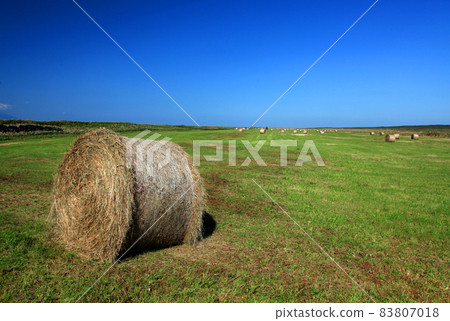 佐呂別原野的田園風光 佐呂別原野的田園風光 83807018