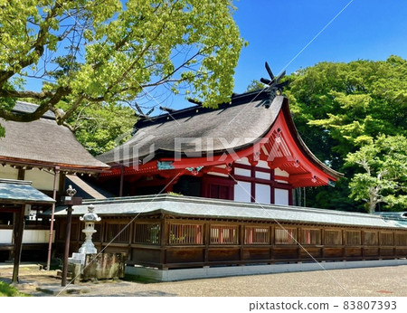 宗像大社/本堂（宗像市/福岡） 83807393