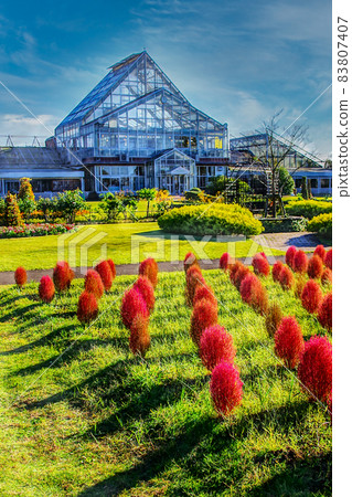 與Kokia的景觀 與Kokia的景觀 83807407