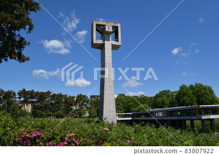 Matsumi Park Tsukuba City, Ibaraki Prefecture 83807922