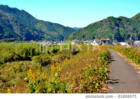 Autumn road in the mountain village 83808075