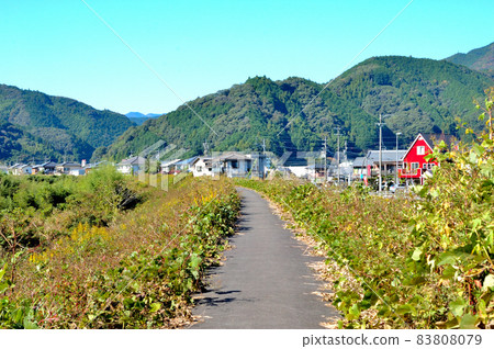 Autumn road 83808079