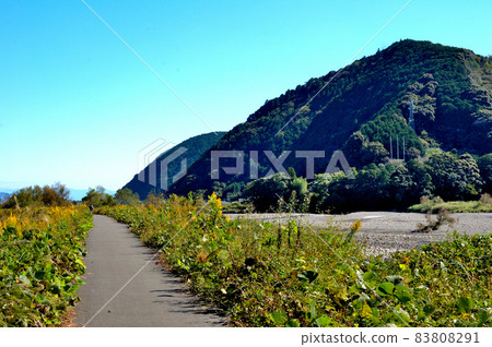 秋路 秋路 83808291